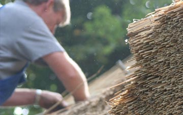 professional Swinden thatchers