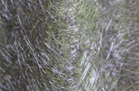 Swinden fibreglass roof work